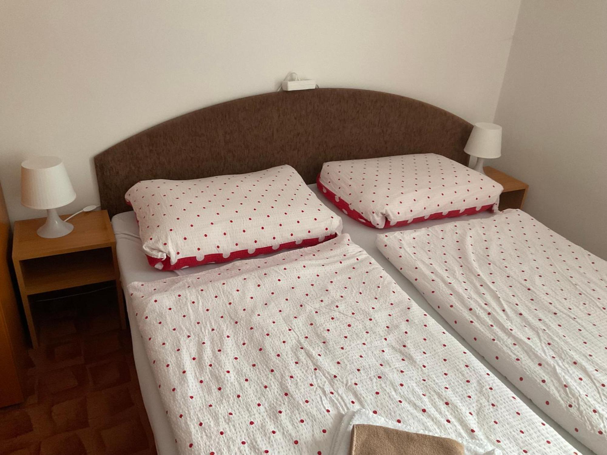 Pension Holiday Vrchlabí المظهر الخارجي الصورة